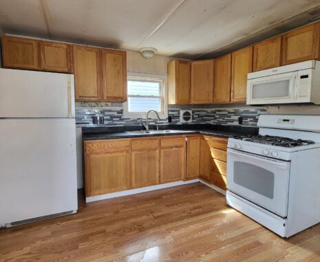06-1979 Skyline, Single-Wide Manufactured Home, Kitchen