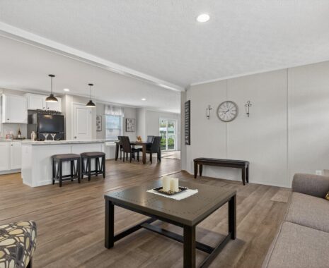 5-Farmhouse , Double Wide Manufactured Home, Living Room